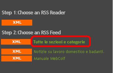 File allegato: