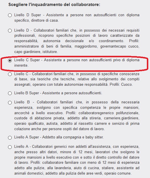 Calcolo Online Costo Colf E Badanti Webcolf